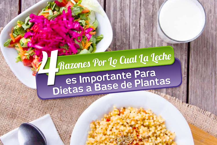 Imagen de 4 Razones por lo cual la leche es importante para dietas a base de plantas Image